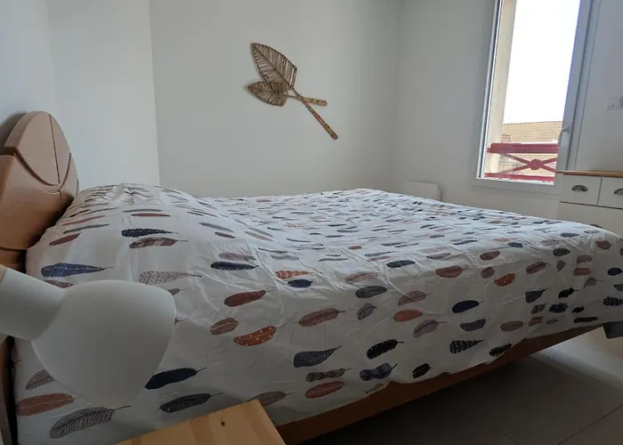 Apartman Cocon Moderne Avec Terrasse A Deux Pas De Locean